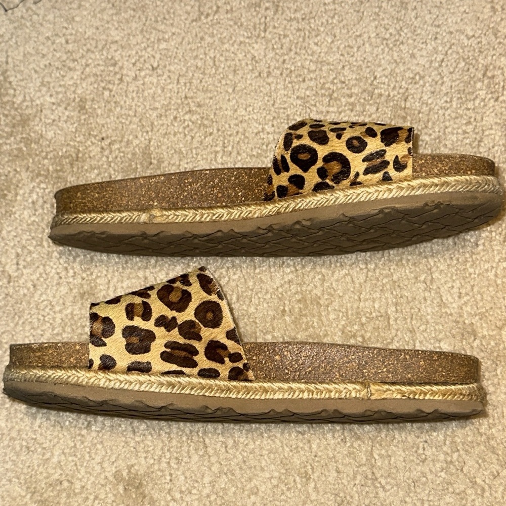 Cheetah slides